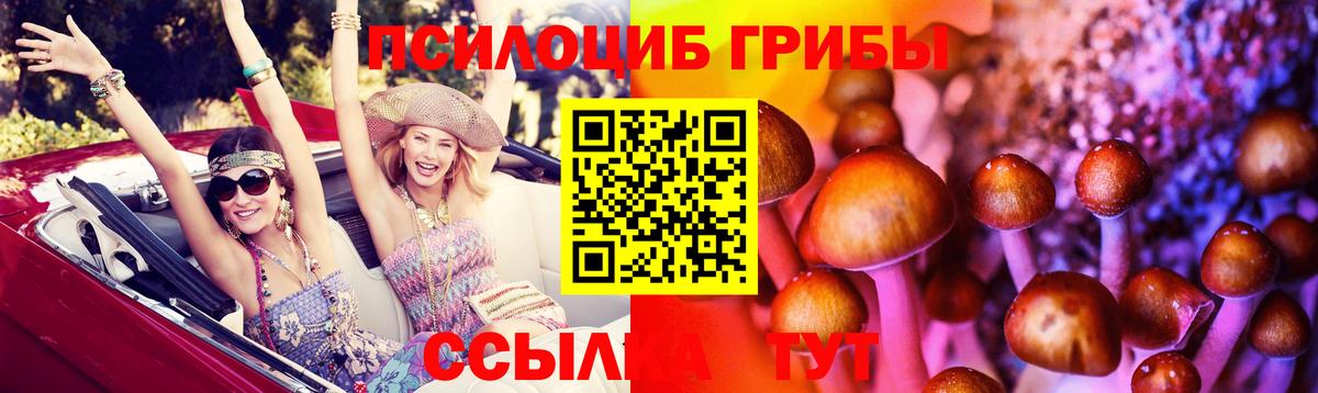 Псилоцибиновые грибы мухоморы  Вход с VPN  Михайловка 