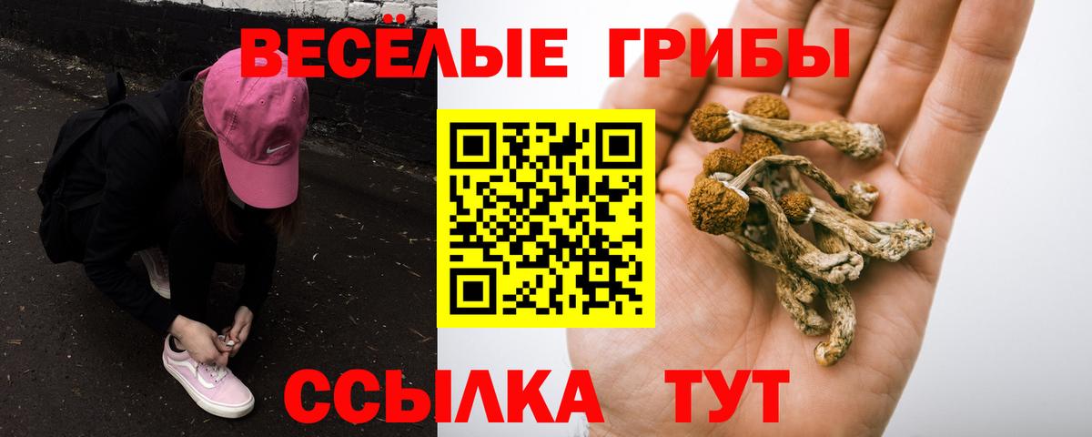 Галлюциногенные грибы MAGIC MUSHROOMS Михайловка